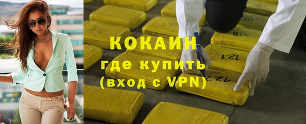 гашик Дмитриев