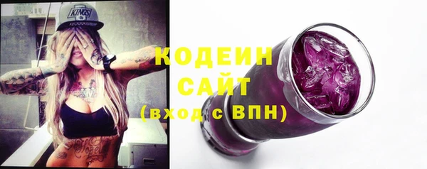 гашик Дмитриев