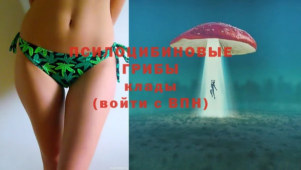 молекула духа Дмитров