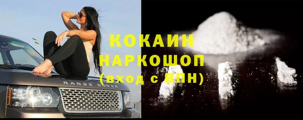 молекула духа Дмитров