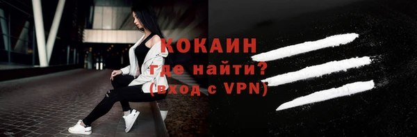 гашик Дмитриев