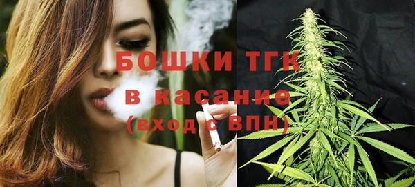 молекула духа Дмитров