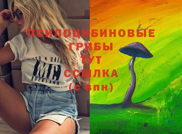 гашик Дмитриев