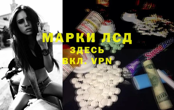 гашик Дмитриев