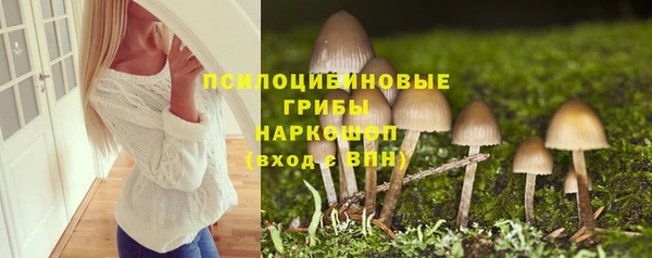 гашик Дмитриев