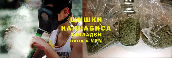 молекула духа Дмитров