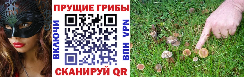 Купить где  Аксай  Галлюциногенные грибы ЛСД 